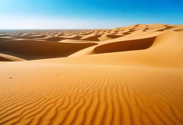 hermoso tiro de arena del desierto con arbustos cielo despejado