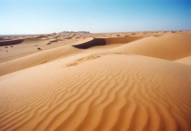 hermoso tiro de arena del desierto con arbustos cielo despejado