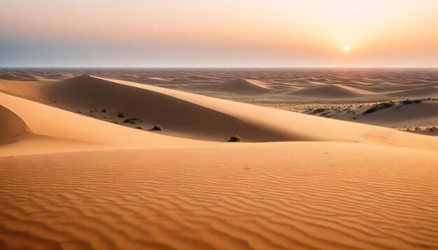 hermoso tiro de arena del desierto con arbustos cielo despejado