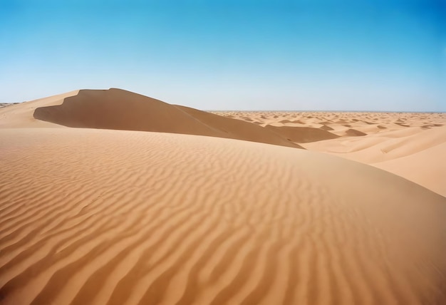 hermoso tiro de arena del desierto con arbustos cielo despejado