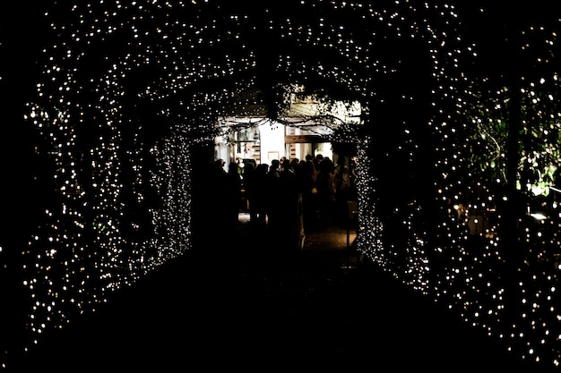 Hermoso túnel con luces, Navidad