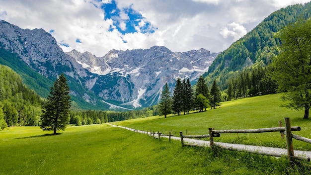 Hermoso valle alpino, camino de ripio, verdes prados rodeados de montañas. Jezersko, Eslovenia.