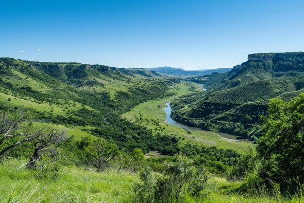 Foto un hermoso valle verde con un río corriendo a través de él