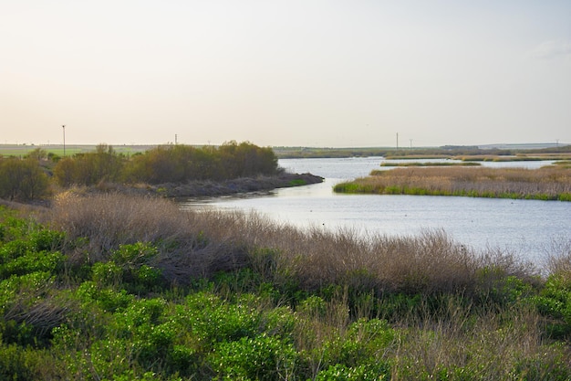 Hermosos amaneceres en Potter Marsh Viendo la vida silvestre Paseo marítimo Anchorage Alaska Estados Unidos