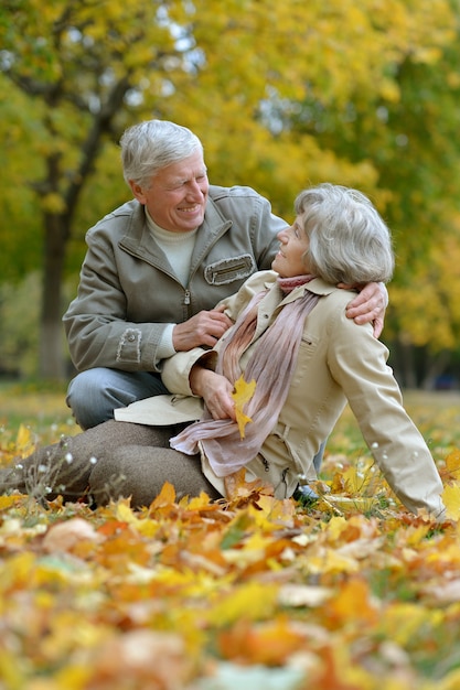 Hermosos ancianos felices sentados en el parque de otoño