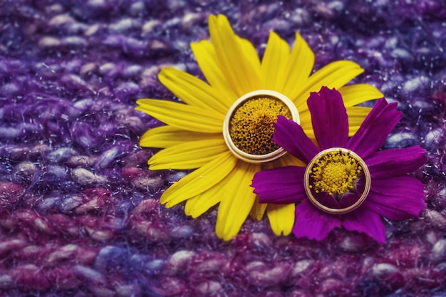 Hermosos anillos de boda dorados.