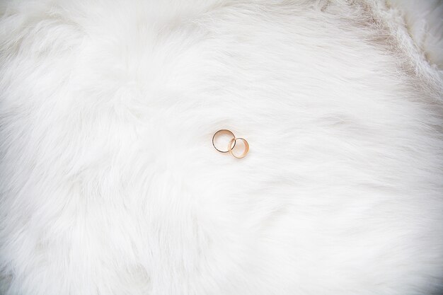 Hermosos anillos de boda sobre fondo blanco