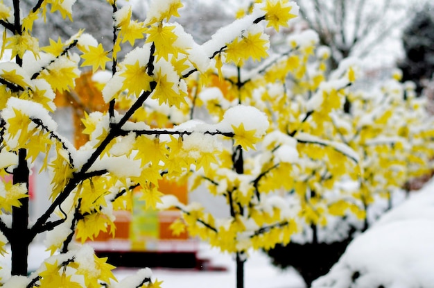 Hermosos árboles artificiales con hojas naranjas y rojas Invierno todo cubierto de nieve después de la tormenta Paisaje invernal Callejón de una serie de árboles inusuales y mágicos