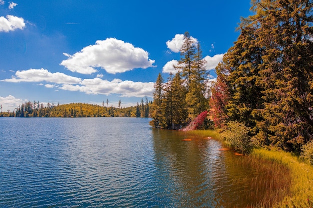 Foto hermosos árboles de color dorado con paisaje de lago de otoño tranquila puesta de sol de otoño vista tranquila de la mañana