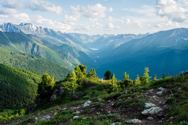 Hermosos árboles coníferos pequeños en una colina rocosa con vistas a las montañas gigantes nevadas y al valle del bosque verde con un lago alpino y un río. Impresionante paisaje alpino de vastas extensiones. Vivos paisajes montañosos.