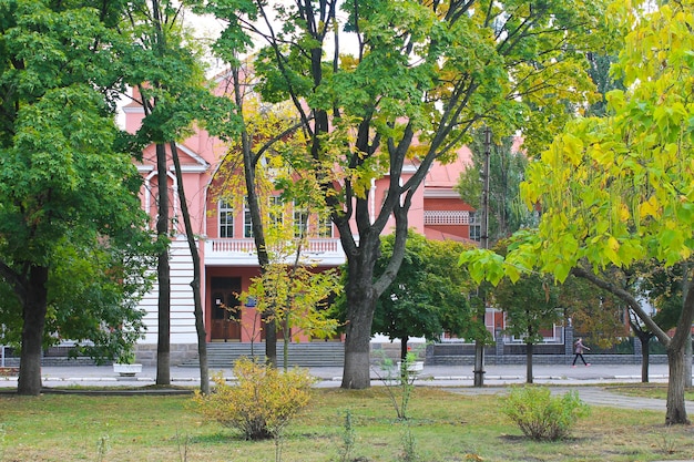 Hermosos árboles en el parque de la ciudad