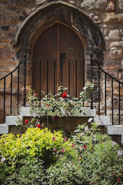 Hermosos arbustos y puerta antigua.