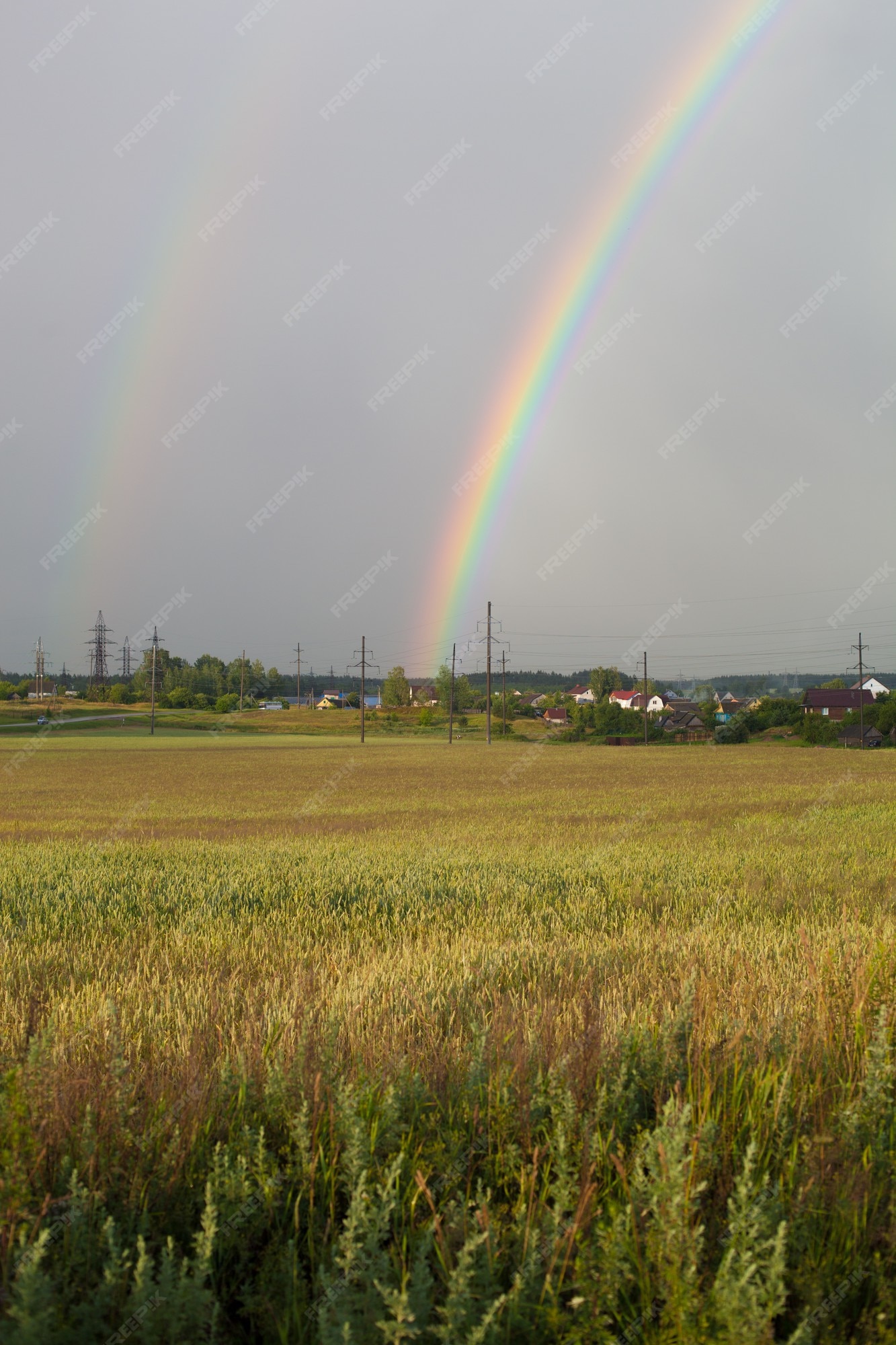 Y así Bandido Subrayar Hermosos arcoiris reales | Foto Premium