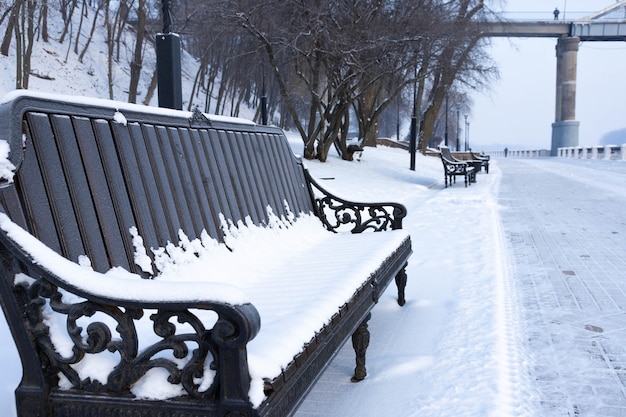 Hermosos bancos en un parque cubierto de nieve.