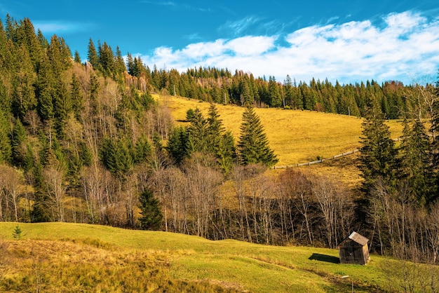 Hermosos bosques que cubren las montañas de los Cárpatos y un pequeño pueblo