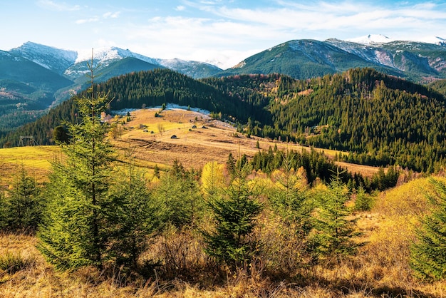 Hermosos bosques que cubren las montañas de los Cárpatos y un pequeño pueblo