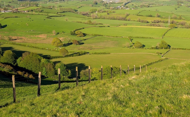 Hermosos campos verdes en Inglaterra