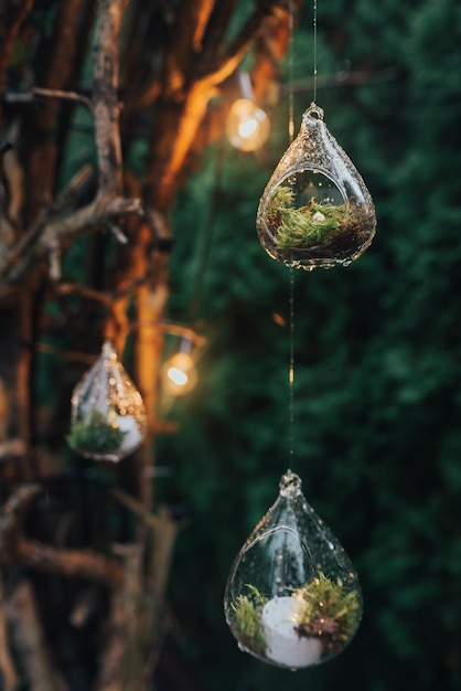 Hermosos colgantes de cristal para decoración de bodas con musgo y velas, el arco para la ceremonia está iluminado.