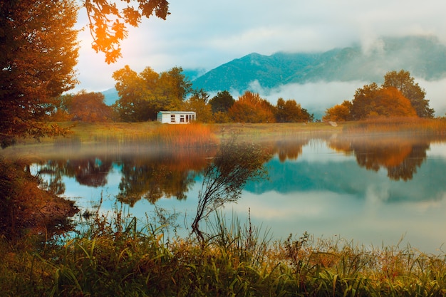 Foto hermosos colores del otoño en el parque junto al lago