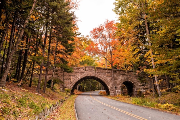 Los hermosos colores de otoño del Parque Nacional Acadia en Maine
