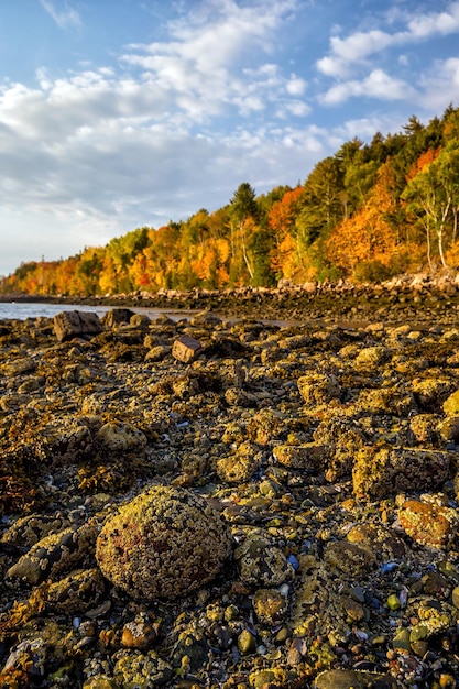 Hermosos colores de otoño del Parque Nacional Acadia en Maine