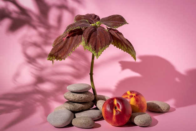 Foto hermosos detalles de plantas bicolor