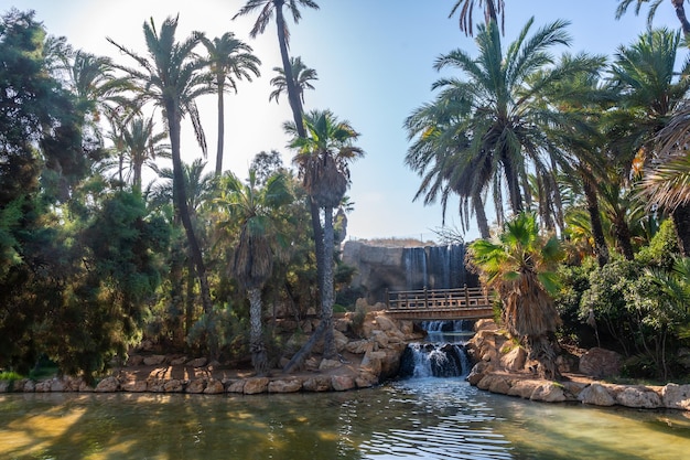 Hermosos estanques de lagos y puentes de madera en el parque El Palmeral en la ciudad de Alicante