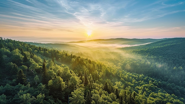 Hermosos y fértiles paisajes forestales winte HD 8K papel tapiz Imagen fotográfica de stock Generative Ai