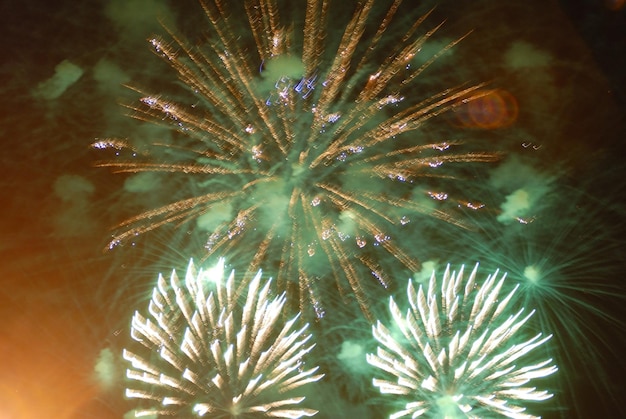 Hermosos fuegos artificiales en el cielo negro Coloridos fuegos artificiales Genial para el Día de la Independencia Nochevieja