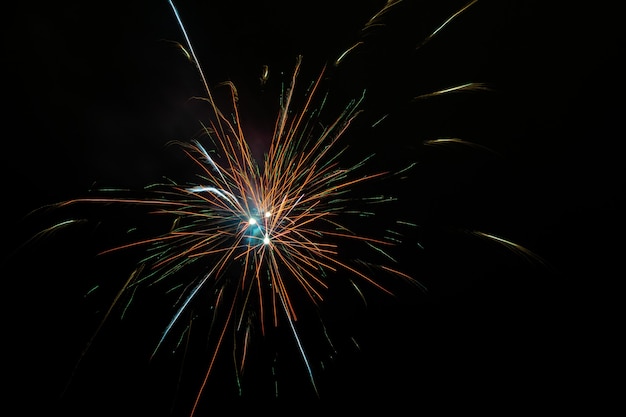 Hermosos fuegos artificiales que florecen en el cielo nocturno