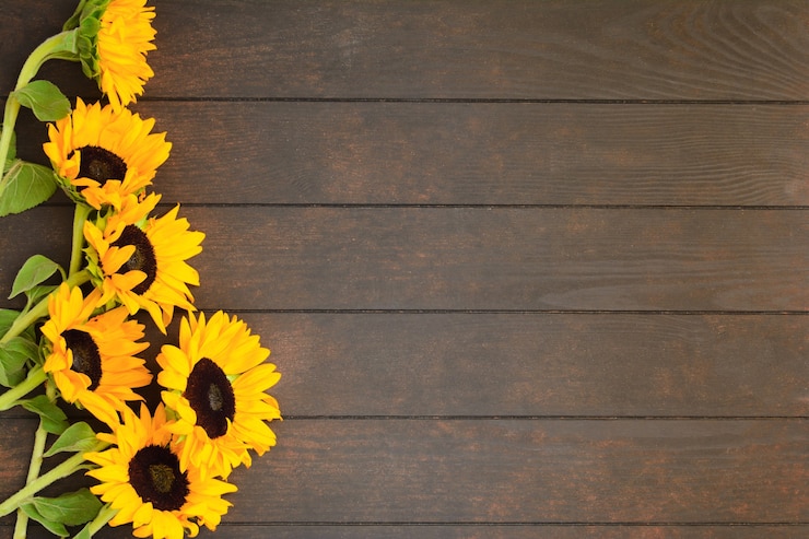 Foto hermosos girasoles amarillos sobre fondo de madera con espacio de copia