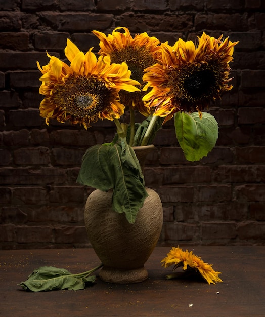 Hermosos girasoles en un florero