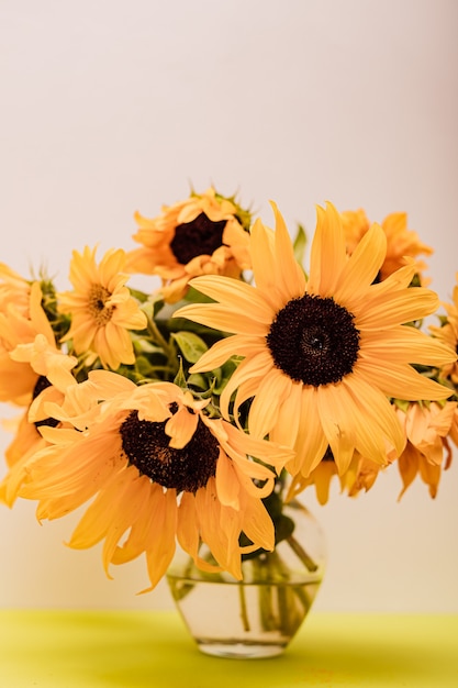 Hermosos girasoles en un jarrón de vidrio