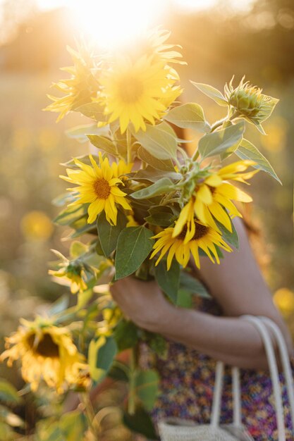 Foto hermosos girasoles en manos de mujer en la cálida luz del atardecer en el prado de verano tranquilidad