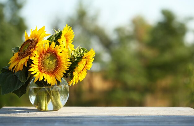 Hermosos girasoles en la mesa sobre fondo brillante