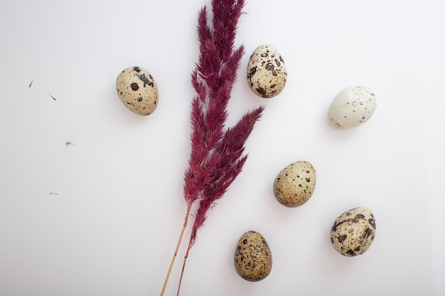 Hermosos huevos de Pascua con decoración.