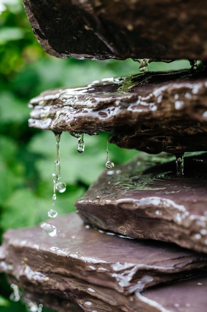 Foto hermosos jardines británicos elementos de jardín en el reino unido