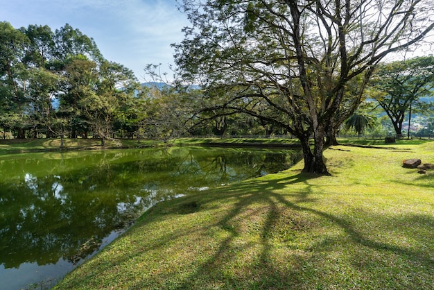 Hermosos jardines del lago Taiping