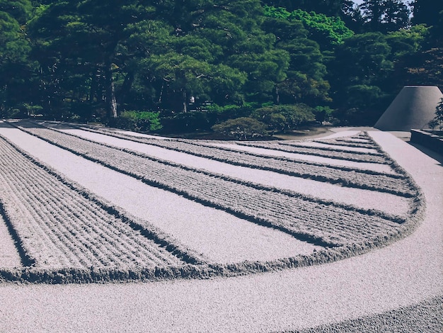 hermosos jardines zen japoneses en Kioto