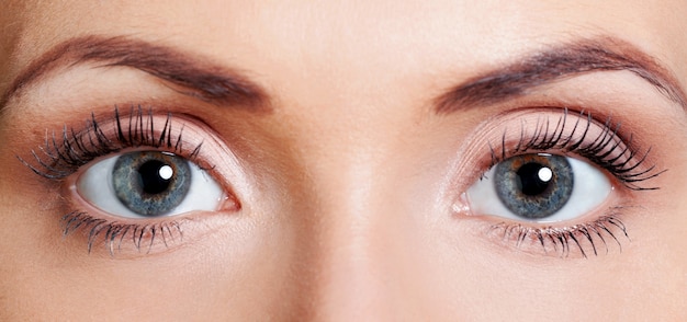 Hermosos ojos femeninos, primer plano