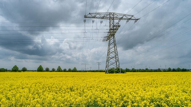 Foto hermosos paisajes agrícolas con semillas de colza amarillas en el campo de flores turbinas eólicas para producir energía verde y líneas eléctricas de alto voltaje en alemania en primavera y cielo lluvioso dramático