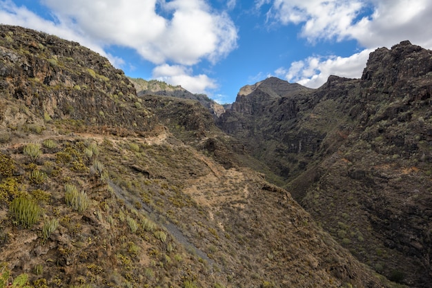 Foto hermosos paisajes del barranco del infierno en tenerife. islas canarias, españa