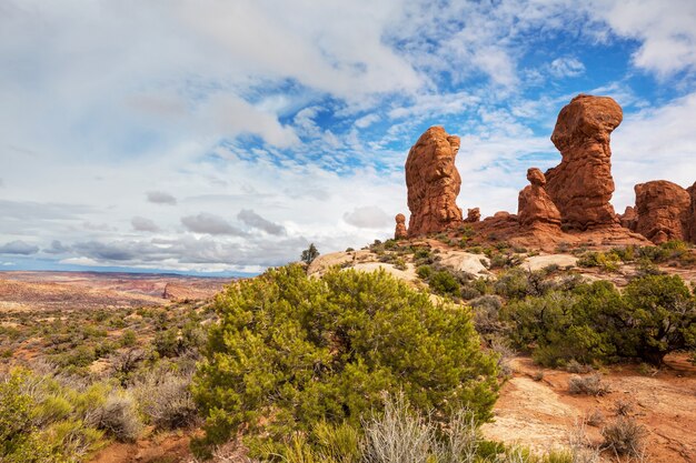 Hermosos paisajes del desierto americano