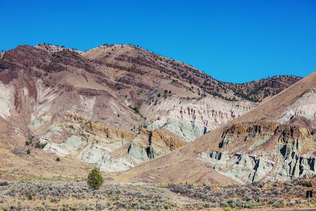 Hermosos paisajes del desierto americano