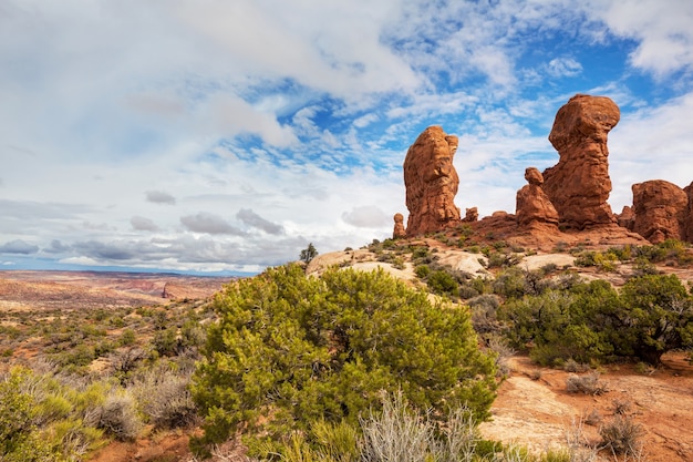 Hermosos paisajes del desierto americano