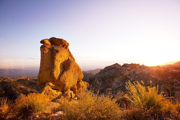 Hermosos paisajes del desierto americano