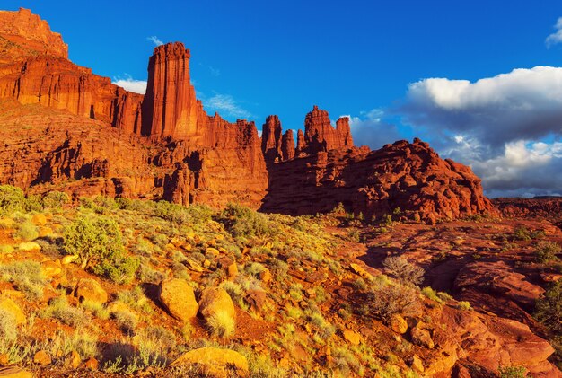 Hermosos paisajes del desierto americano