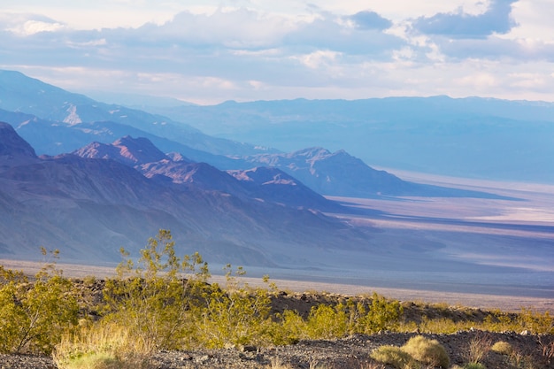 Hermosos paisajes del desierto americano