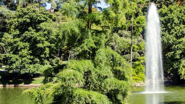 Hermosos paisajes de fuentes de resolución 4K para el papel tapiz