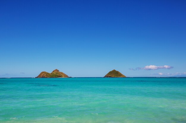 Hermosos paisajes en la isla de Oahu, Hawaii